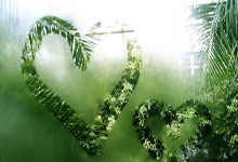 快速解决Flash异常问题